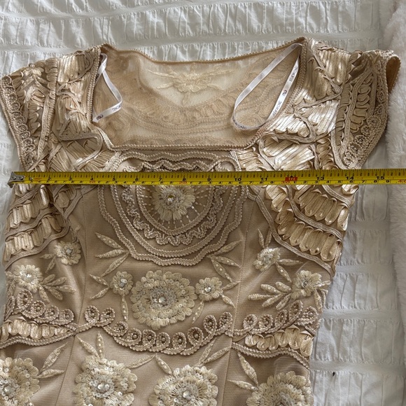 Sue Wong Beige Lace Mini Dress - Picture 8 of 11